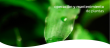 s02